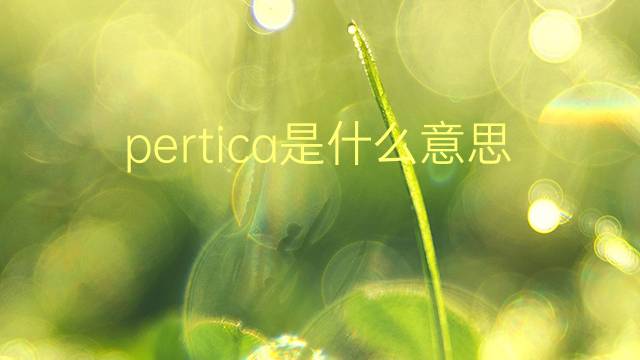 pertica是什么意思 pertica的翻译、读音、例句、中文解释