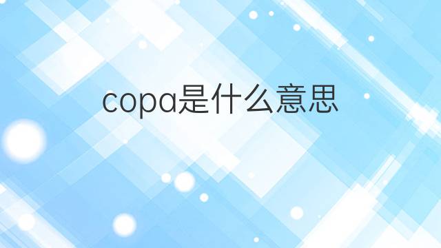 copa是什么意思 copa的翻译、读音、例句、中文解释