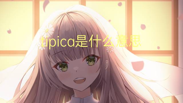 tipica是什么意思 tipica的翻译、读音、例句、中文解释