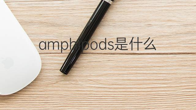 amphipods是什么意思 amphipods的翻译、读音、例句、中文解释