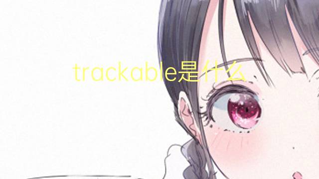 trackable是什么意思 trackable的翻译、读音、例句、中文解释