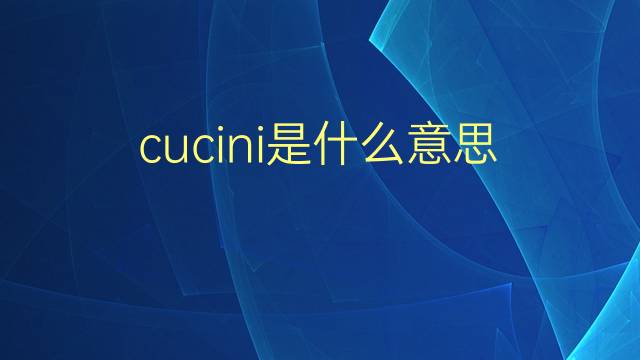 cucini是什么意思 cucini的翻译、读音、例句、中文解释