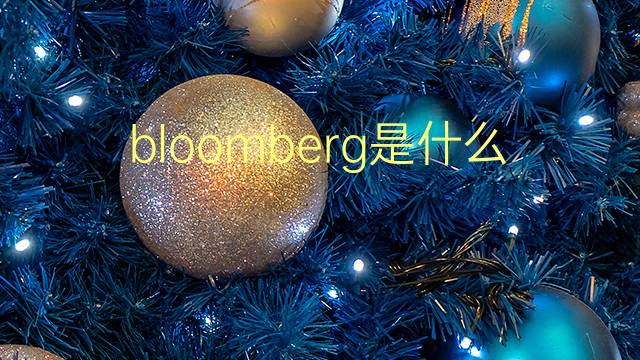 bloomberg是什么意思 bloomberg的翻译、读音、例句、中文解释