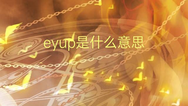 eyup是什么意思 英文名eyup的翻译、发音、来源