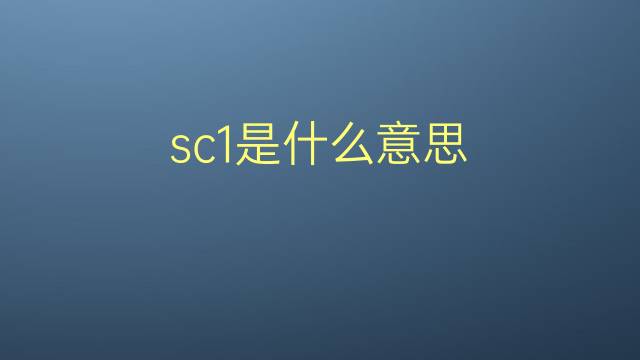 sc1是什么意思 sc1的翻译、读音、例句、中文解释