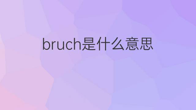 bruch是什么意思 bruch的翻译、读音、例句、中文解释