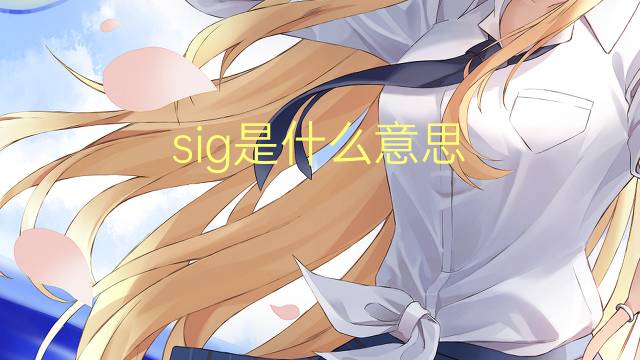 sig是什么意思 sig的翻译、读音、例句、中文解释