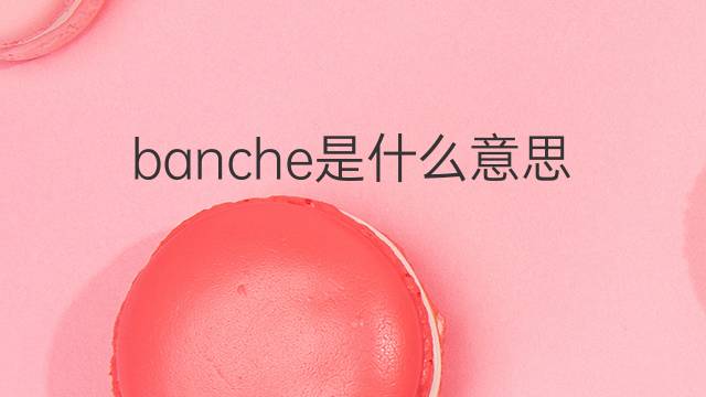 banche是什么意思 banche的翻译、读音、例句、中文解释