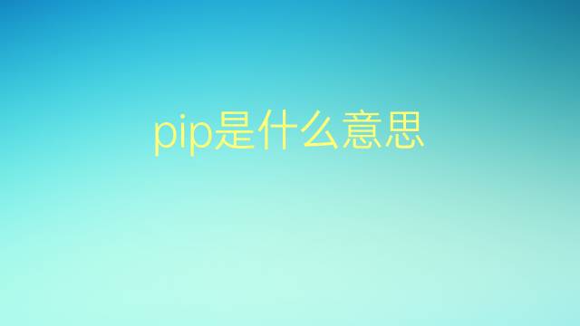 pip是什么意思 pip的翻译、读音、例句、中文解释