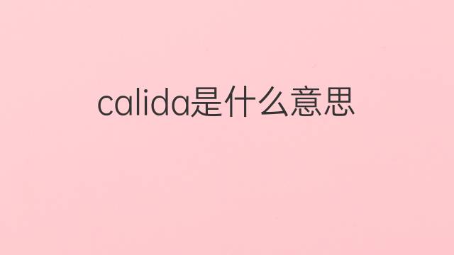 calida是什么意思 calida的翻译、读音、例句、中文解释