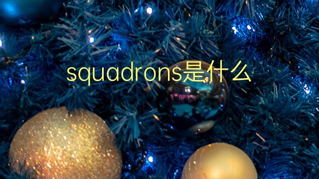 squadrons是什么意思 squadrons的翻译、读音、例句、中文解释