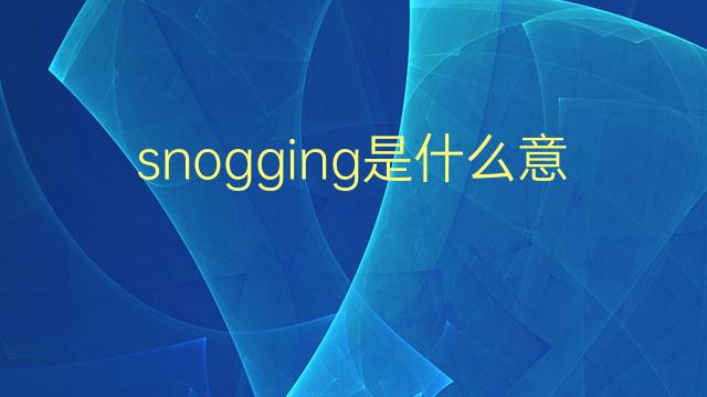 snogging是什么意思 snogging的翻译、读音、例句、中文解释