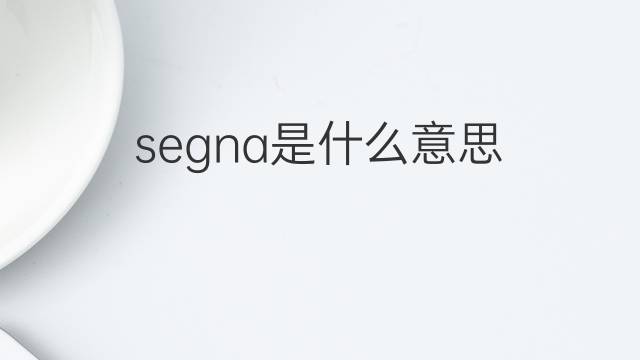 segna是什么意思 segna的翻译、读音、例句、中文解释