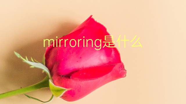 mirroring是什么意思 mirroring的翻译、读音、例句、中文解释