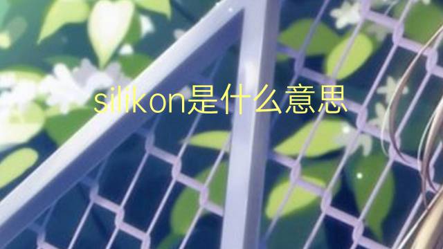 silikon是什么意思 silikon的翻译、读音、例句、中文解释