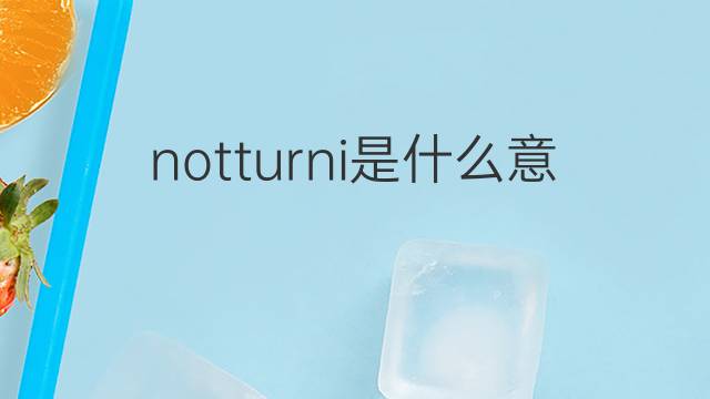 notturni是什么意思 notturni的翻译、读音、例句、中文解释