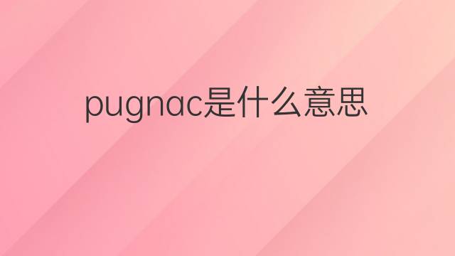 pugnac是什么意思 pugnac的翻译、读音、例句、中文解释