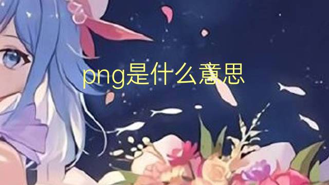 png是什么意思 png的翻译、读音、例句、中文解释