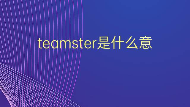 teamster是什么意思 teamster的翻译、读音、例句、中文解释