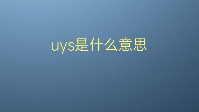 uys是什么意思 uys的翻译、读音、例句、中文解释