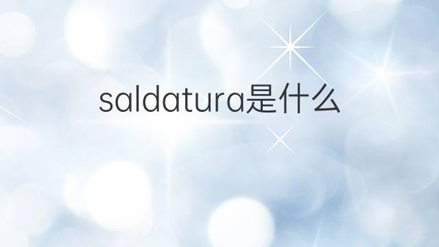 saldatura是什么意思 saldatura的翻译、读音、例句、中文解释