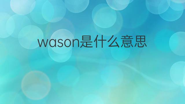 wason是什么意思 wason的翻译、读音、例句、中文解释