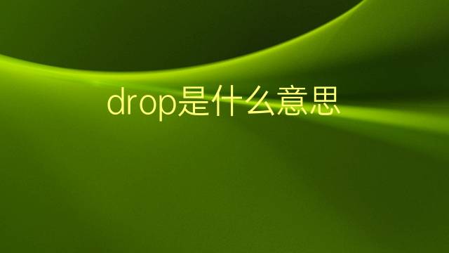 drop是什么意思 drop的翻译、读音、例句、中文解释