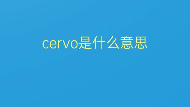 cervo是什么意思 cervo的翻译、读音、例句、中文解释