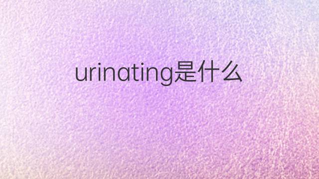 urinating是什么意思 urinating的翻译、读音、例句、中文解释