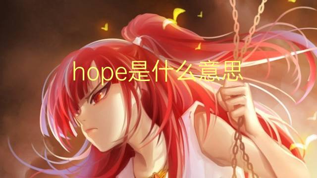 hope是什么意思 hope的翻译、读音、例句、中文解释