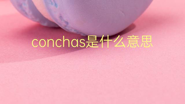 conchas是什么意思 conchas的翻译、读音、例句、中文解释