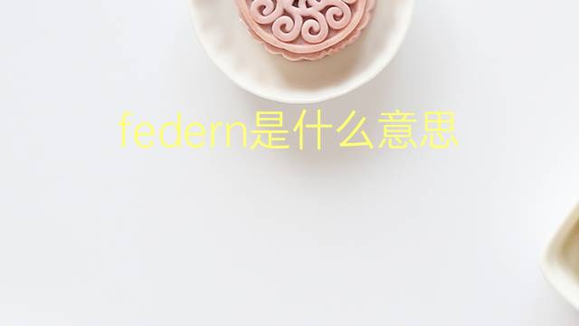 federn是什么意思 federn的翻译、读音、例句、中文解释