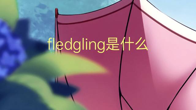 fledgling是什么意思 fledgling的翻译、读音、例句、中文解释