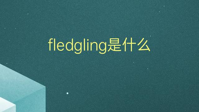 fledgling是什么意思 fledgling的翻译、读音、例句、中文解释