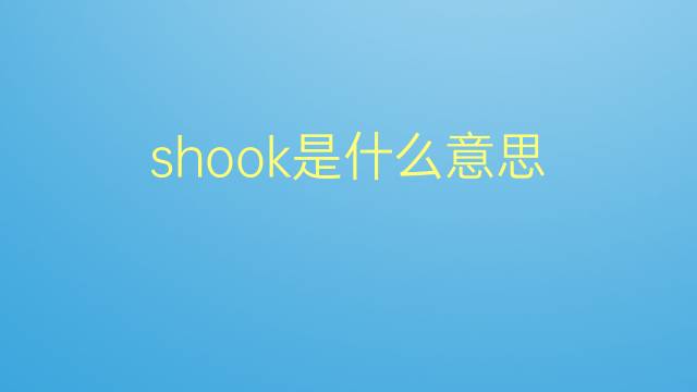 shook是什么意思 shook的翻译、读音、例句、中文解释