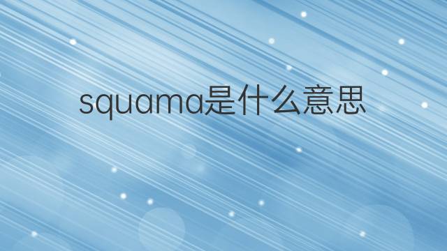 squama是什么意思 squama的翻译、读音、例句、中文解释