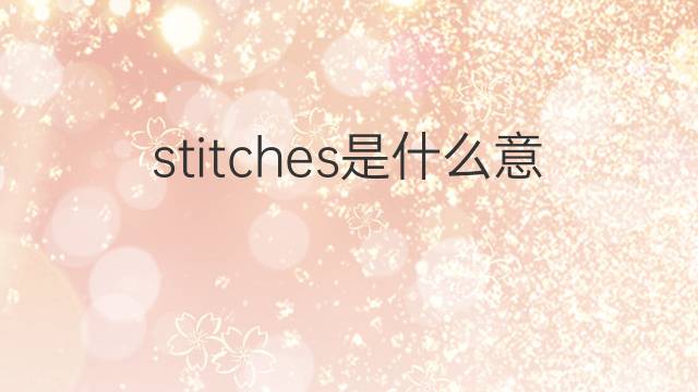 stitches是什么意思 stitches的翻译、读音、例句、中文解释