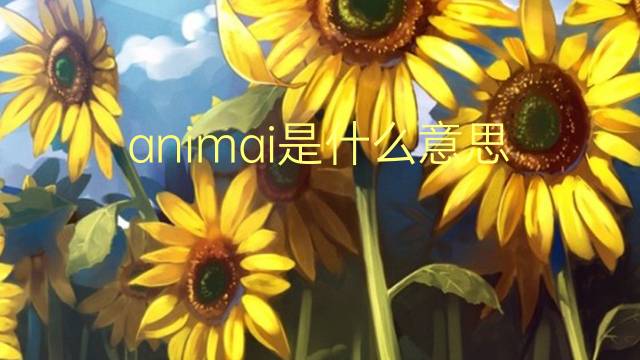 animai是什么意思 animai的翻译、读音、例句、中文解释