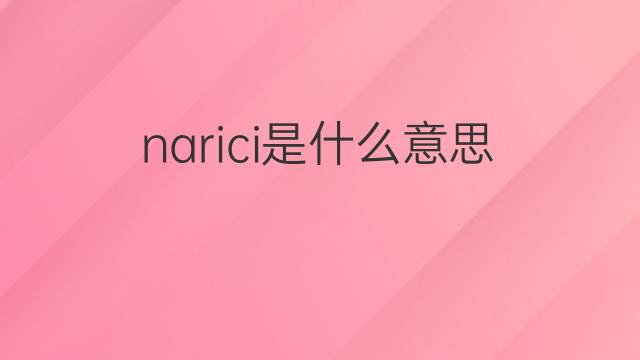 narici是什么意思 narici的翻译、读音、例句、中文解释