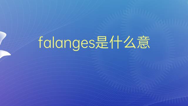 falanges是什么意思 falanges的翻译、读音、例句、中文解释