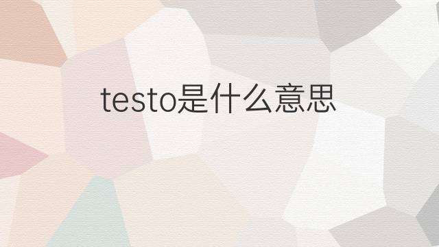 testo是什么意思 testo的翻译、读音、例句、中文解释