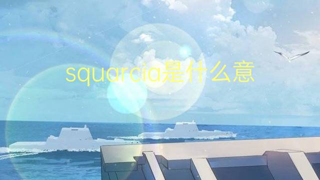 squarcia是什么意思 squarcia的翻译、读音、例句、中文解释