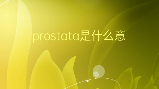 prostata是什么意思 prostata的翻译、读音、例句、中文解释