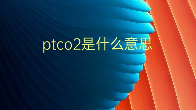 ptco2是什么意思 ptco2的翻译、读音、例句、中文解释