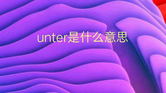 unter是什么意思 unter的翻译、读音、例句、中文解释