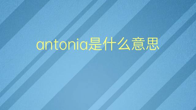 antonia是什么意思 antonia的翻译、读音、例句、中文解释