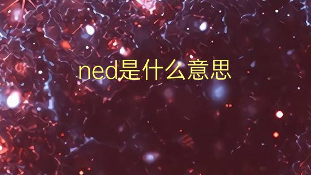 ned是什么意思 ned的翻译、读音、例句、中文解释