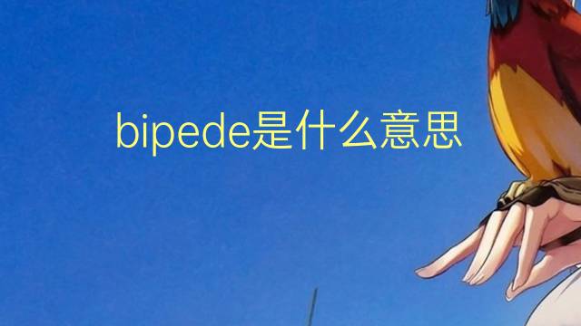 bipede是什么意思 bipede的翻译、读音、例句、中文解释