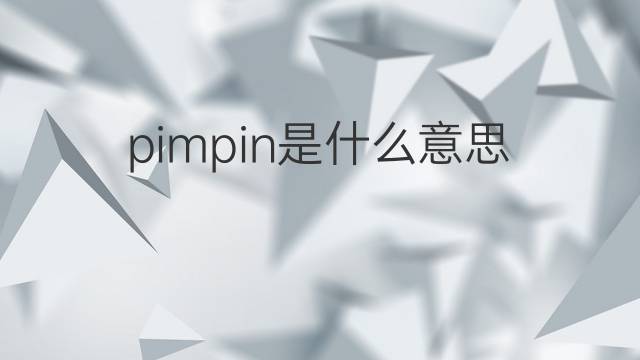 pimpin是什么意思 pimpin的翻译、读音、例句、中文解释