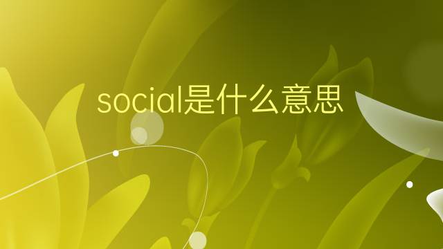 social是什么意思 social的翻译、读音、例句、中文解释